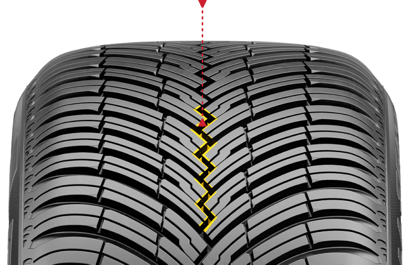 أخدود مركزي متعرج وأخاديد أفقية أكبر على الجانب الخارجي